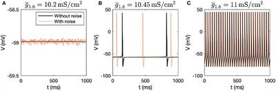 Examining Sodium and Potassium Channel Conductances Involved in Hyperexcitability of Chemotherapy-Induced Peripheral Neuropathy: A Mathematical and Cell Culture-Based Study